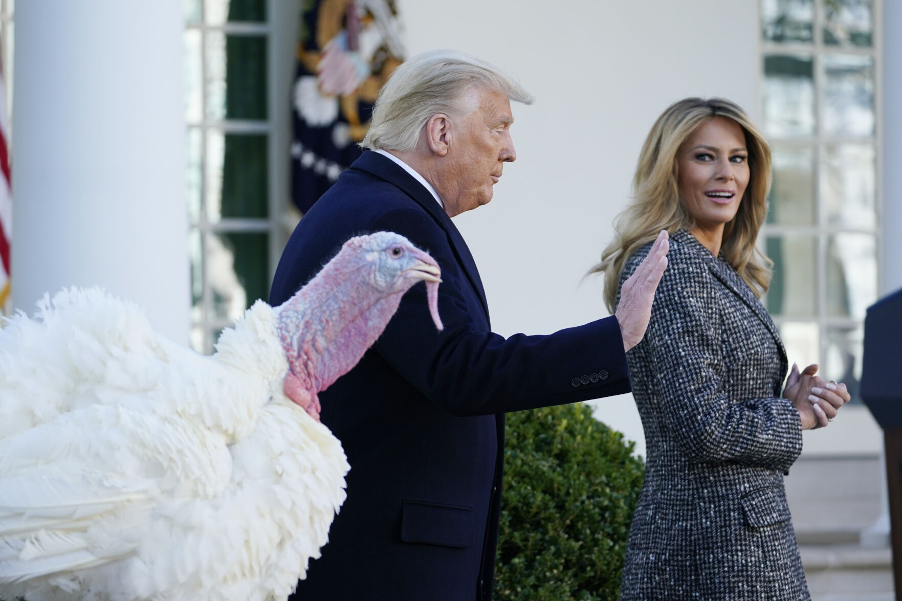 Trump